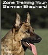 German Shepherd Dog Training