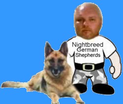 Nightbreed Kennels German Shepherd Dog breeder NSW Australia 